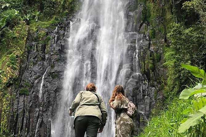 Waterfall & Coffee Walking Tour - Accessibility and Participation Guidelines