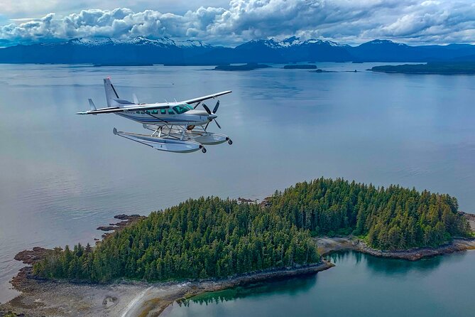 Waterfall Creek Brown Bear Viewing Juneau - Essential Inclusions for a Memorable Adventure