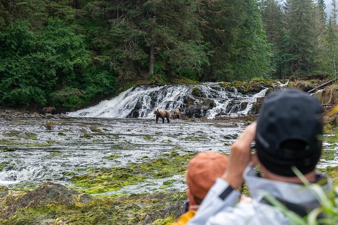 Waterfall Creek Brown Bear Viewing Juneau - Meeting and Pickup Information