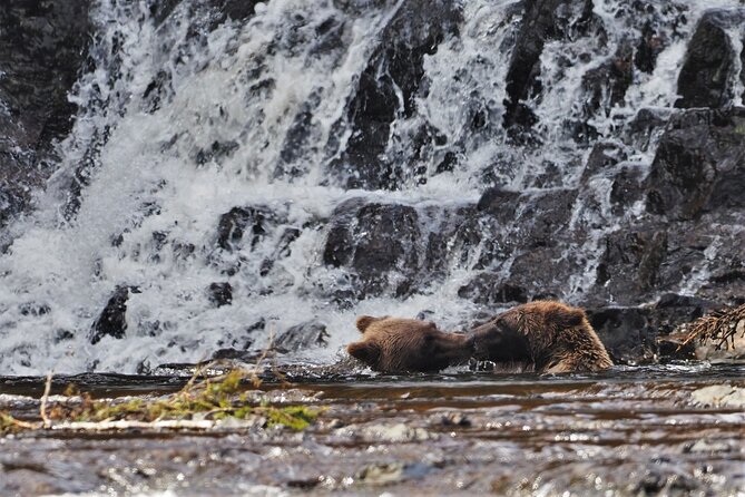 Waterfall Creek Brown Bear Viewing Juneau - Cancellation and Reservation Policies
