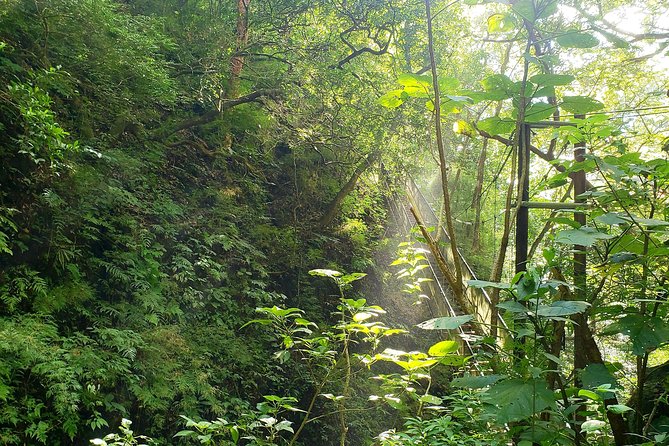 Waterfall Discovery - Spa Relaxation