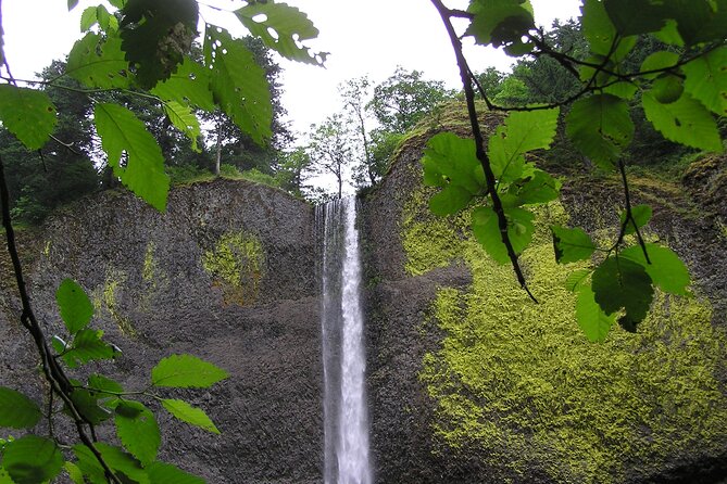 Waterfall Express Tour -Transportation to Waterfall Trolley PDX07 - Tips for Making the Most of Your Tour