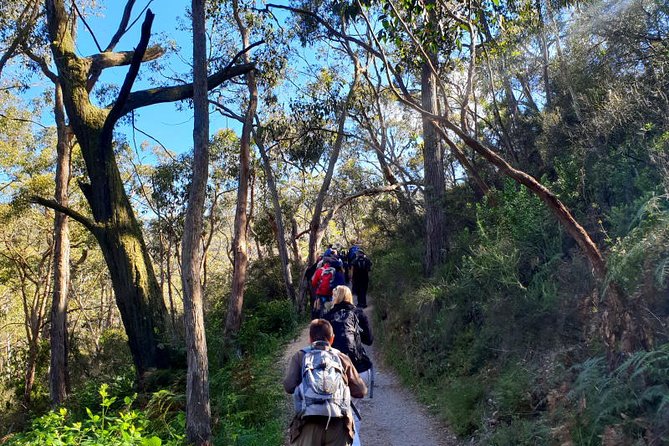 Waterfall Gully to Mt Lofty Guided Hike - Booking and Cancellation Policy