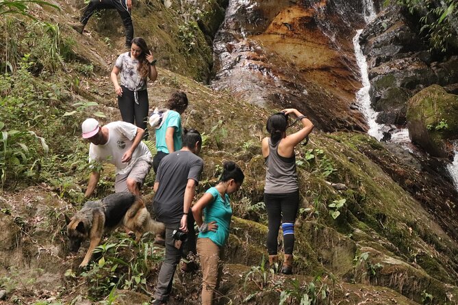Waterfall Hike - What to Expect