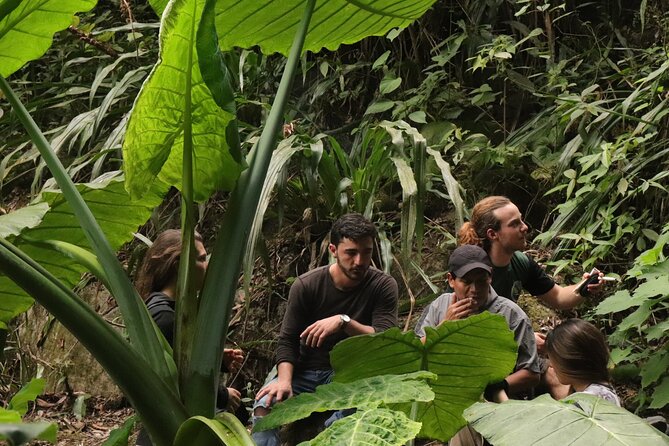 Waterfall Hike - Key Points
