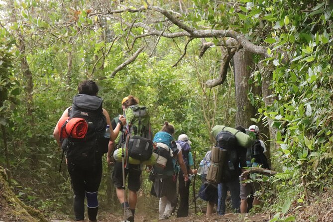 Waterfall Hike - Safety and Accessibility