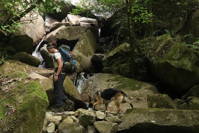 Waterfall Hike - Participant Reviews