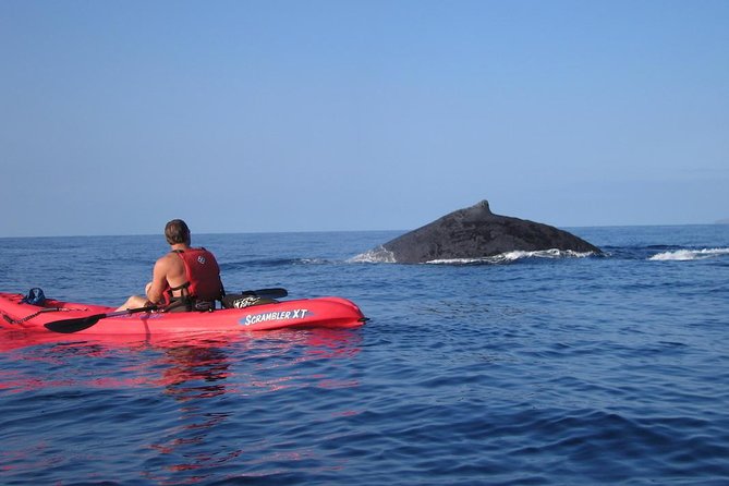 Waterfall Hike and Kayak Snorkel & Paddle From Makena - Tour Details