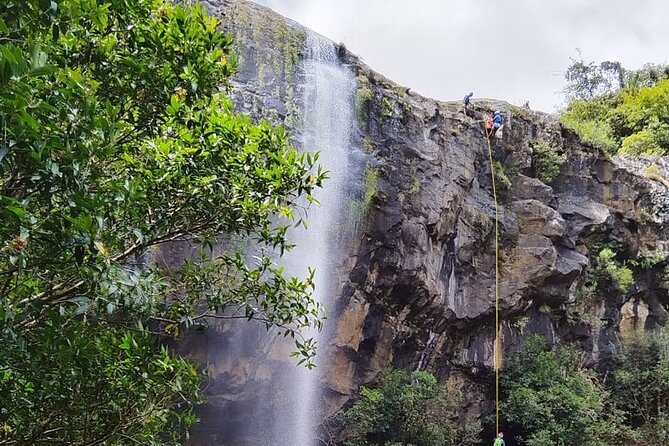 Waterfall Hike - Highlights of the Experience