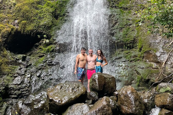 Waterfall Hike in Hawaii - Overview and Pricing