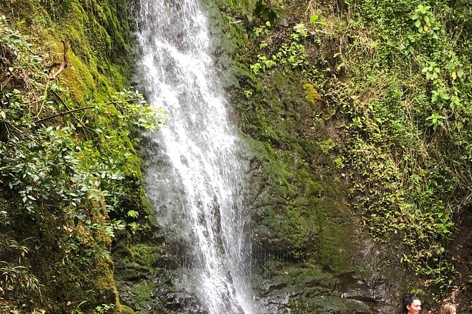 Waterfall Hike , Sightseeing & East Side Beach Day - Key Points