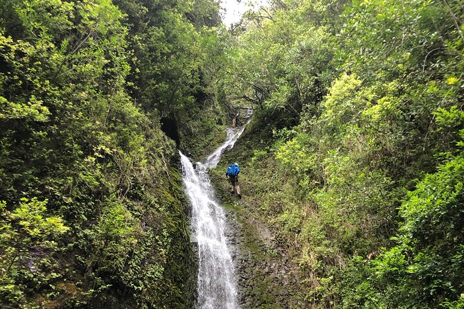 Waterfall Hike , Sightseeing & East Side Beach Day - Hike Through Rainforest