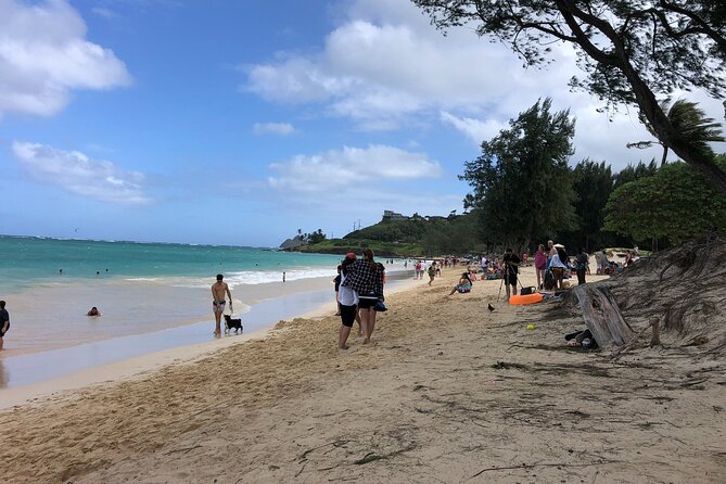 Waterfall Hike , Sightseeing & East Side Beach Day - Tour Highlights
