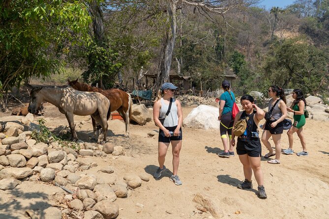 Waterfall in the Jungle of Puerto Vallarta - Group Size and Requirements