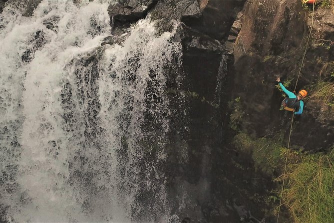 Waterfall Rappelling at Kulaniapia Falls: 120 Foot Drop, 15 Minutes From Hilo - Stunning Hilo Backdrop