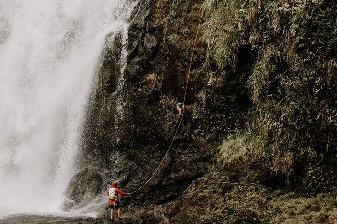 Waterfall Rappelling at Kulaniapia Falls: 120 Foot Drop, 15 Minutes From Hilo - Accessibility and Restrictions