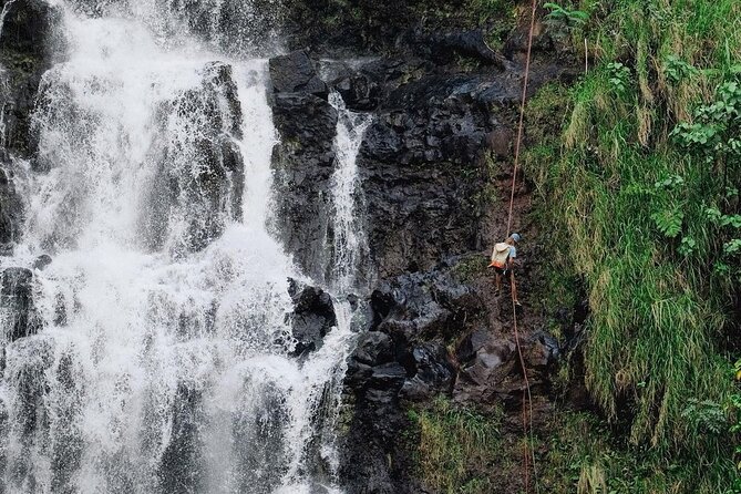 Waterfall Rappelling at Kulaniapia Falls: 120 Foot Drop, 15 Minutes From Hilo - Weather Considerations