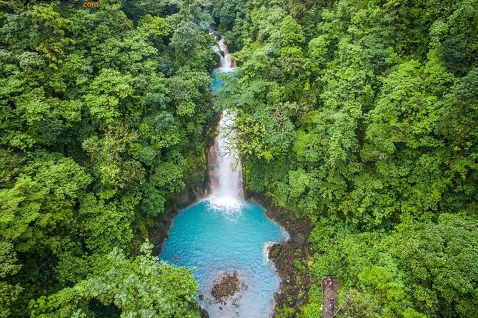 Waterfall, Sloth Expedition, Frogs Blue River Also in Costa Rica and Nicaragua - Customer Reviews and Ratings