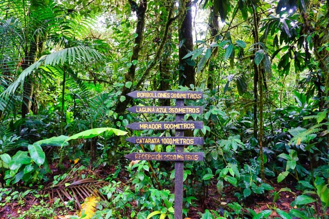 Waterfall, Sloth Expedition, Frogs Blue River Also in Costa Rica and Nicaragua - Jungle Trail Exploration