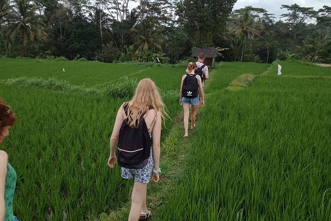 Waterfall Tour And Sasak Traditional Tour - Experiencing Benang Kelambu Waterfall