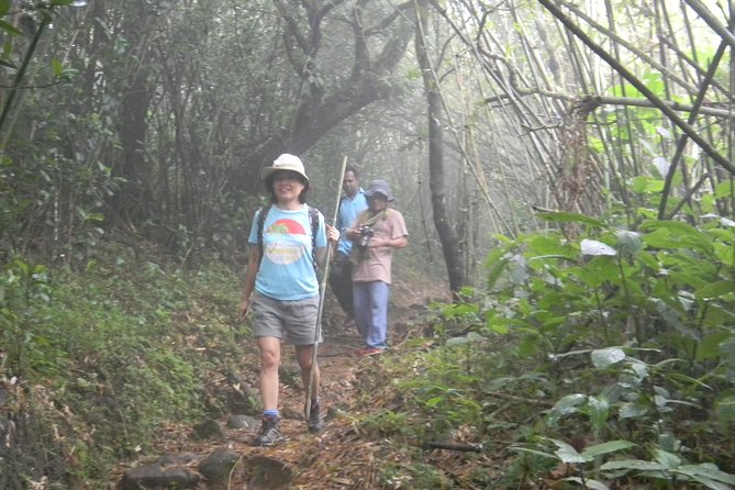 Waterfall Trekking in Knuckles Mountain Range - Trekking Route and Distance