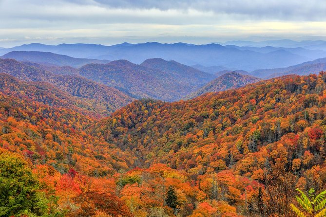 Waterfalls and Blue Ridge Parkway Hiking Tour With Expert Naturalist - Reviews