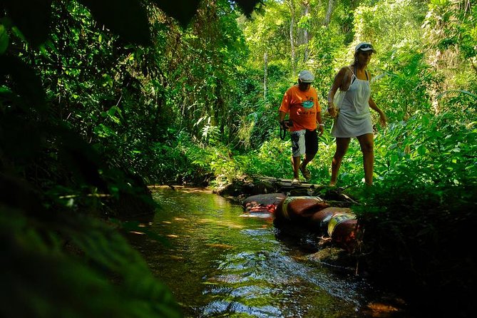 Waterfalls and Cachaça Distillery Jeep Tour - Tour Overview