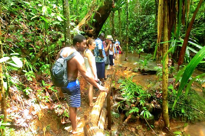Waterfalls and Nature Tour - Inclusions