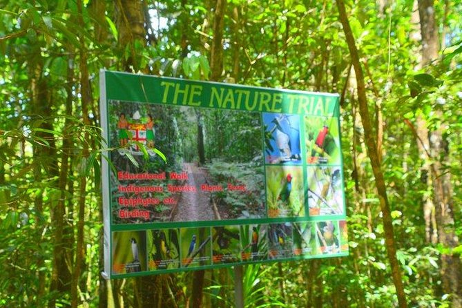 Waterfalls and Nature Tour - Pickup Information