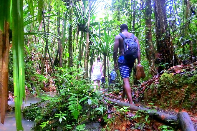 Waterfalls and Nature Tour - Reviews and Ratings