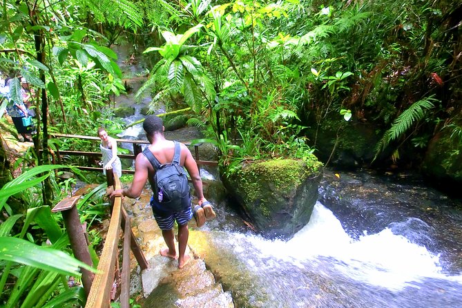 Waterfalls and Nature Tour - Exploring Colo-I-Suva Forest Park