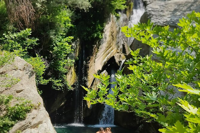 Waterfalls and Wine Flows - Bogova Waterfall and Alpeta Winery Winetasting Tour - Indulging in Seasonal Finger Food
