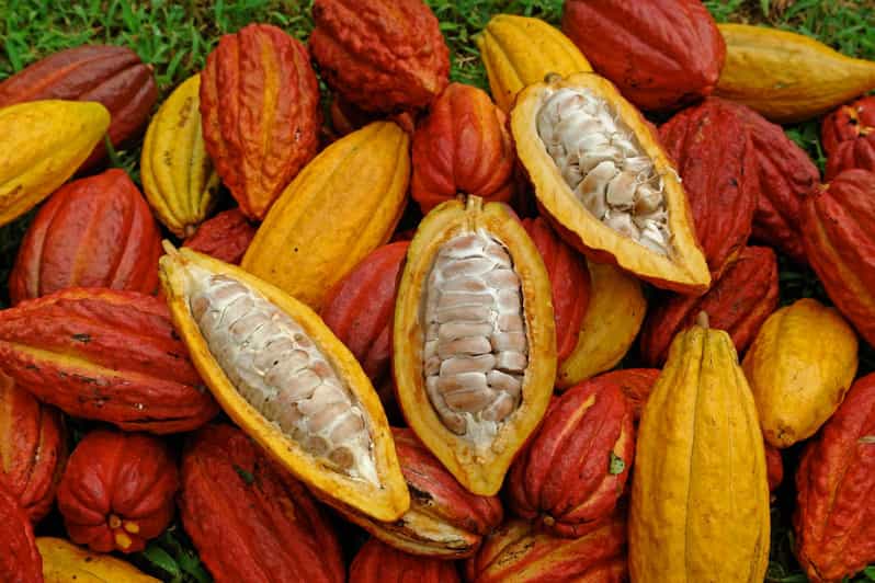Waterfalls, Animal Reserve and Chocolate: Mango Passage - Ecosystems and Locations