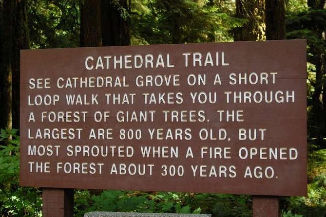 Waterfalls, Cathedral Grove Rainforest, and Coombs Adventure With Hiking - Hike to Little Qualicum Falls