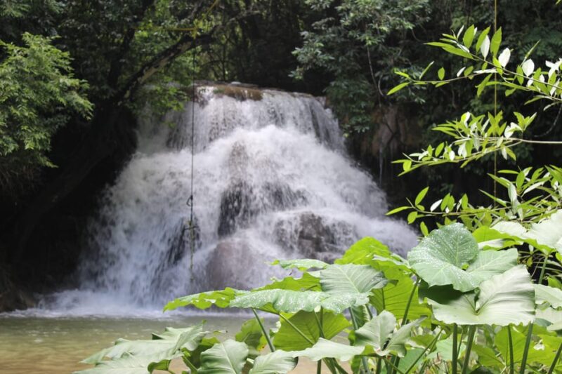 Waterfalls, Coffee and Adventure Tour, Huatulco - Important Information