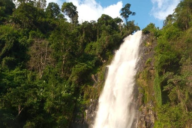 Waterfalls, Coffee, Hotsprings, Food Cuisine, & Serval Wildlife - Meeting Point and Pickup
