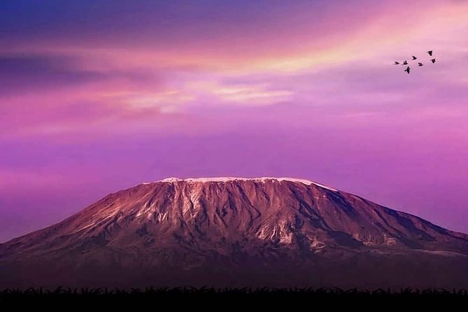 Waterfalls, Coffee, Hotsprings, Food Cuisine, & Serval Wildlife - Tour Schedule