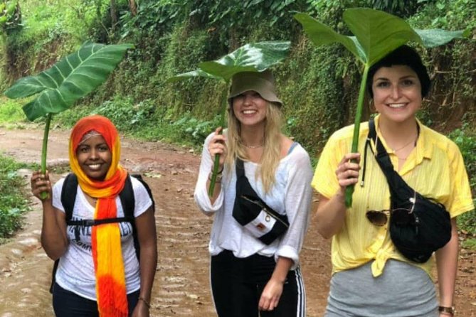 Waterfalls, Coffee, Hotsprings, Food Cuisine, & Serval Wildlife - Review and Pricing