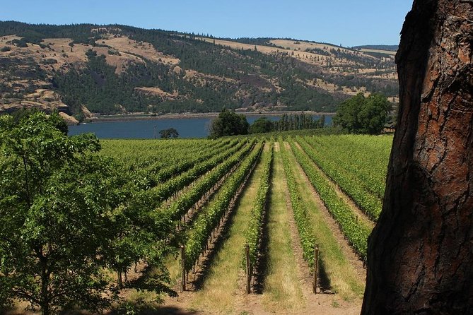 Waterfalls, Mt Hood, and Wine Tour (Tasting Fees Included) - Multnomah Falls - Majestic Cascade