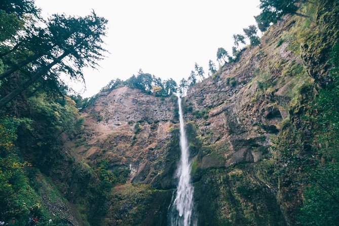 Waterfalls, Mt Hood, and Wine Tour (Tasting Fees Included) - Charming Town of Hood River