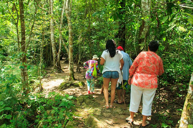Waterfalls & Nature Day-Trip Experience - Booking Information