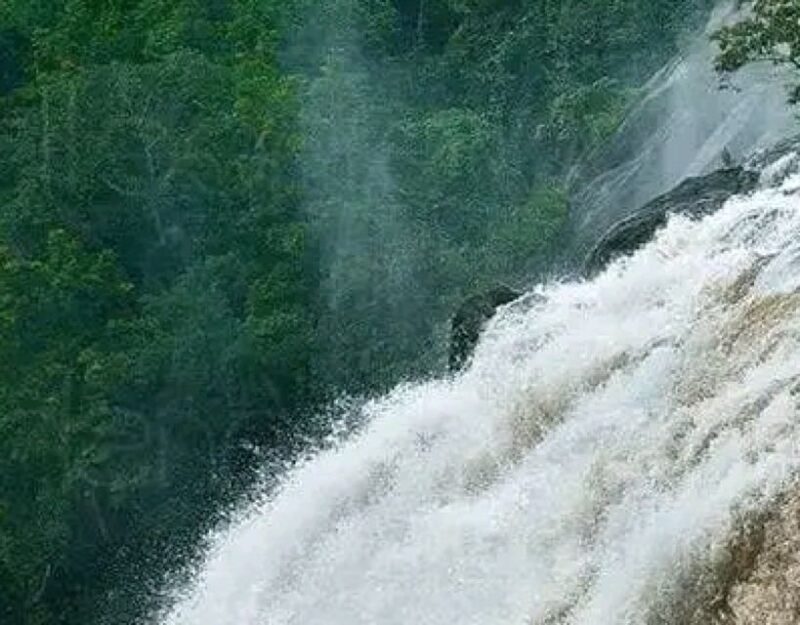Waterfalls of Athirapply or Areekal Tour: Niagra of S. India - Key Points