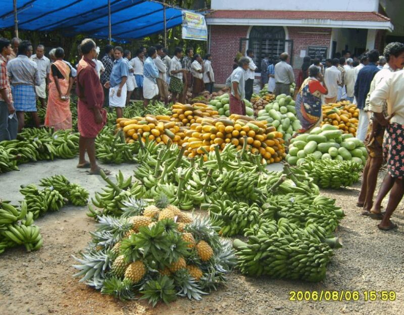 Waterfalls of Athirapply or Areekal Tour: Niagra of S. India - Cultural and Natural Experiences