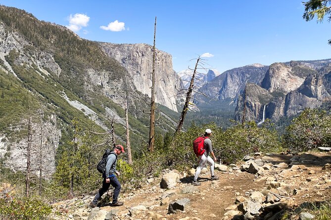 Waterfalls of Yosemite - Customizable Private Tour - Customizing the Experience