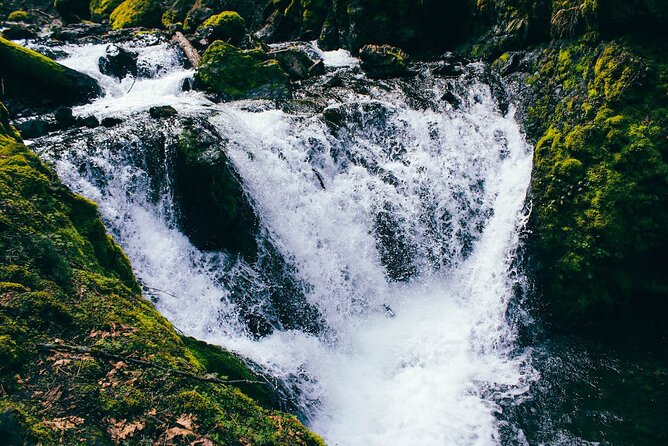 Waterfalls & Waterfront E-Bike Tour on Car-Free Bike Path - Route and Terrain