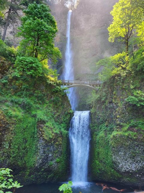 Waterfalls, Wine, and Timberline Tour - Starvation Creek Waterfall
