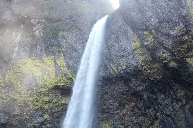 Waterfalls, Wine, and Timberline Tour - Wine Tasting Experience