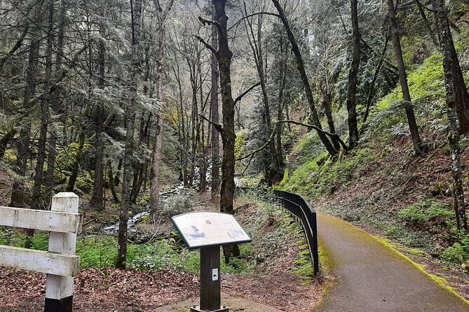 Waterfalls, Wine, and Timberline Tour - Traveler Information