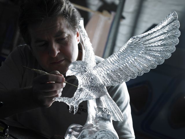 Waterford: House of Waterford Crystal Factory Tour - Accessibility and Participants