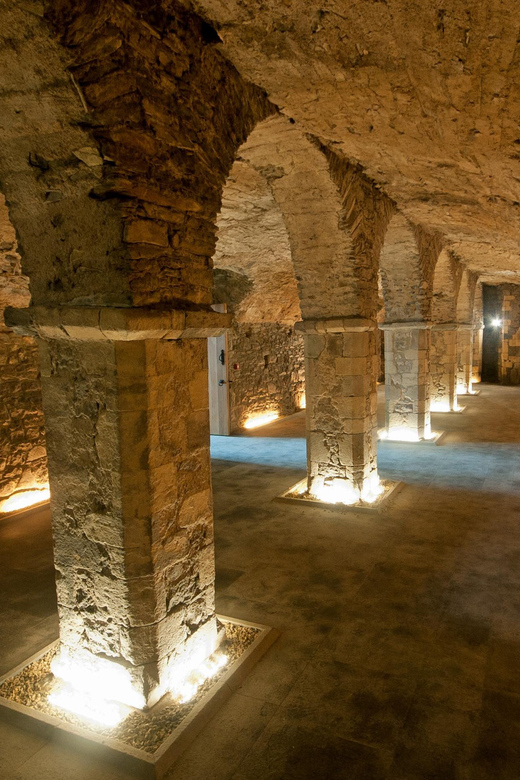 Waterford: Medieval Museum Entry Ticket - Museum Highlights